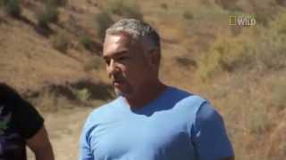 Cesar 911 Episode 6 Exclusive Off Leash [upl. by Broddy]