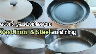 ഞാൻ ഉപയോഗിക്കുന്ന Cast Iron amp Steel പാൻ റിവ്യൂ  My Cast Iron and Steel Pan Review [upl. by Eeneg]