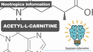 AcetylLCarnitine ALCAR  Nootropics Information [upl. by Rowe]