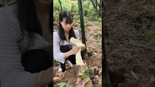 The original ecology of natural bamboo shoot shorts short shortvideo [upl. by Qirat]