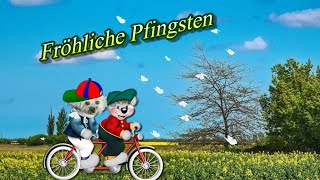 Fröhliche Pfingstgrüße 🌞 Frohe Pfingsten wünsche ich 🌺 liebe Grüße zum Pfingstfest [upl. by Ahmed]