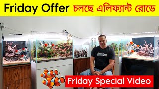 Aquarium Price In Bangladesh🐠Aquarium Fish Price In Bangladesh 2024🐠 Aquriam Fish Price BD [upl. by Ertsevlis]