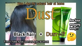 BREMOD HAIR COLOR  DUST  HAIR COLORING  HOW I DYE MY NATURAL HAIR [upl. by Lauder]