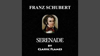 Franz Schubert Schwanengesang D 957 No 4 Serenade Ständchen [upl. by Ahsilav]