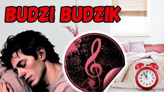 Absurdalne Hity  Budzi Budzik âŹ° đźŽĽ [upl. by Eeliab]