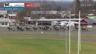 202411 11 Romme Lopp 3 [upl. by Elgna]