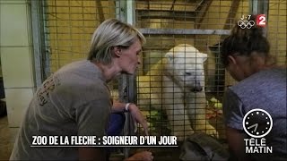 Faune  Zoo de la Flèche  soigneur d’un jour  20160729 [upl. by Leamiba]