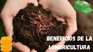 Los Secretos de la Lombricultura Beneficios Increíbles para tu Jardín y el Medio Ambiente [upl. by Saltsman865]