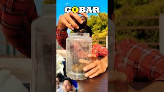 Gobar gas experiment crazyxyz science amazingfacts youtubeshorts chemistry jiya alvi [upl. by Sitnalta376]