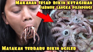 MASAK JARMOK DI LINDUNGI EXPERIMENT TERHEBAT DI DUNIA [upl. by Elva]