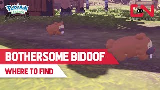 Pokemon Legends Arceus quotBOTHERSOME BIDOOFquot Request Guide All 3 Bidoof Locations [upl. by Doowron]