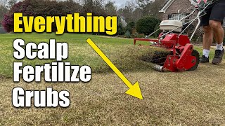 Spring Lawn Scalp Fertilizer and Grub Treatment [upl. by Ecinehs837]