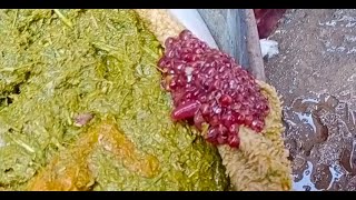 Worms Infestation inside The Rumenstomach WormsDr Ansar Malik [upl. by Adalia]