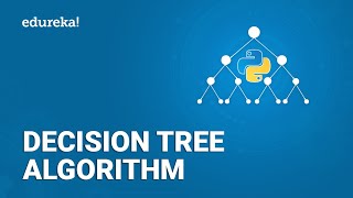 Decision Tree Algorithm  Decision Tree in Python  Machine Learning Algorithms  Edureka [upl. by Aciria]