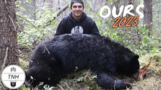 Chasse à lours 2023  Black Bear Hunting 2023  TruNorth Hunters [upl. by Ojeitak]