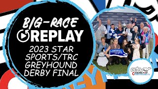 2023 Star SportsTRC Greyhound Derby Final  Gaytime Nemo  Greyhound Race Replays  2023 Big Finals [upl. by Kele]