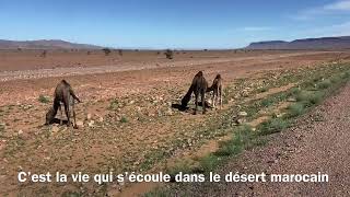 Sur la route de Tata après les inondations la vie continue sur la route sans frontières [upl. by Kirad]