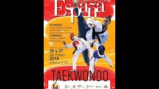 Campeonato de España de Taekwondo Poomsae  Tatami 5 [upl. by Jt]