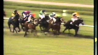 SUMMER HAZE NZ  1980 Matamata Breeders Stakes [upl. by Valsimot58]