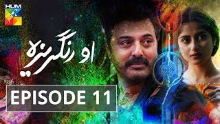 O Rungreza Episode 11 HUMTV Drama [upl. by Ellery]