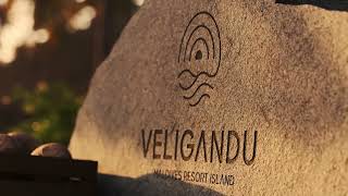 VELIGANDU Resort Maldives Animation by Kunkun Visual [upl. by Stulin]