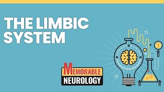 Limbic System Mnemonics Memorable Neurology Lecture 2 [upl. by Hashimoto]