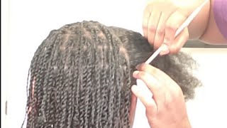 How to Start Locs w Two Strand Twist Realtime [upl. by Nosrak]