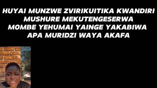 NDAKATENGESERWA MOMBE YEHUMAI ONE YEKUBIWA NDAKUNZI NEMUFI NDIDZOSE DZIRI 10 HELP ME PLIZ [upl. by Nylatsirhc631]