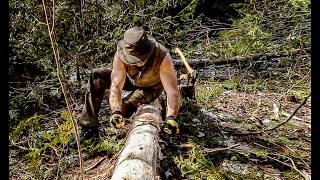 The Log Cabin Clearing the Site and Preparing the Foundation Logs [upl. by Uok]