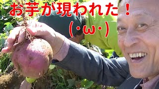 ～練馬の畑に行ってみよう！～練馬区・三原台【池尻成二のいけさんぽ】（つながる市民・練馬） [upl. by Allemaj]