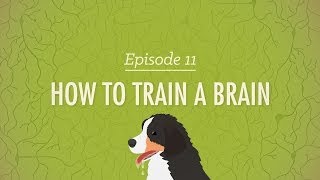 How to Train a Brain Crash Course Psychology 11 [upl. by Roz]