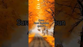 Jannatul Firdaus quranurdutranslation surahtaghabun ayah56 viral shorts islamicvideo trending [upl. by Sheree]