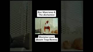 Roc Marciano amp The Alchemist Boom Trap Remix trap remix [upl. by Ennaitak]