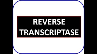 Reverse Transcriptase RNaseH DNA Polymerase RNA Virus genome replication [upl. by Elatan]