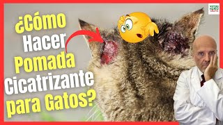 ¿COMO HACER UNA POMADA CICATRIZANTE PARA GATOS COMO VETRAMIL [upl. by Seaver]