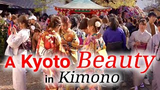 【Kyoto Kimono】 Kimono beauties color the streets of Kyoto [upl. by Sac]