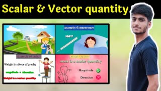 Scalar amp vector quantity  with examples hindi amp english [upl. by Esilahc]