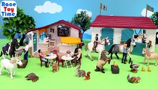 Schleich Horse Club Playsets and Fun Animal Toys [upl. by Akered]