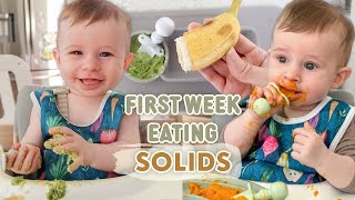 First Week of Our Baby Led Weaning Journey  Babys First Food and Starting Solids [upl. by Tjon]