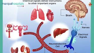 Neuroendocrine Tumour  Dr Sachin Sekhar Biswal  Manipal Hospital Bhubaneswar [upl. by Tannenwald]