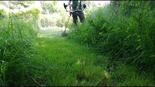 OVERGROWN Grass Clearing Work with a STIHL String Trimmer [upl. by Gigi]