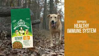 James Wellbeloved  Tailored Nutrition for Senior Dogs [upl. by Ahtamas]