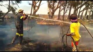 Unemployed man pitches in to help firefighters battle inferno in Somerset West [upl. by Lekar]