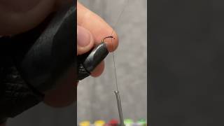 Tying a brassie flytying shorts [upl. by Erbe]