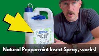 Mighty Mint Natural Peppermint Oil Insect amp Pest Spray review [upl. by Akkimat]