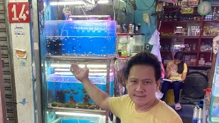 PING YMSON FISH SHOP UPDATE PART 28 Aqualand Alley Cartimar [upl. by Saint]