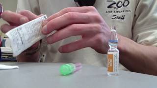 How to Prepare Epinephrine 11000 [upl. by Adnoval]