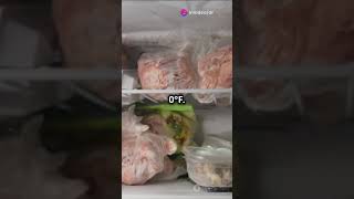 Essential tips on how to keep butchery clean and safe butchery education live food meat [upl. by Nerrej]