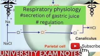 secretion of gastric juiceregulation of gastric juicegastric juicemedicoscontent3135 [upl. by Sirotek884]