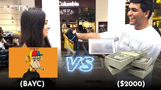 BAYC Bored Ape Yacht Club vs 2000 Cash  What Will The Public Choose [upl. by Novyaj]